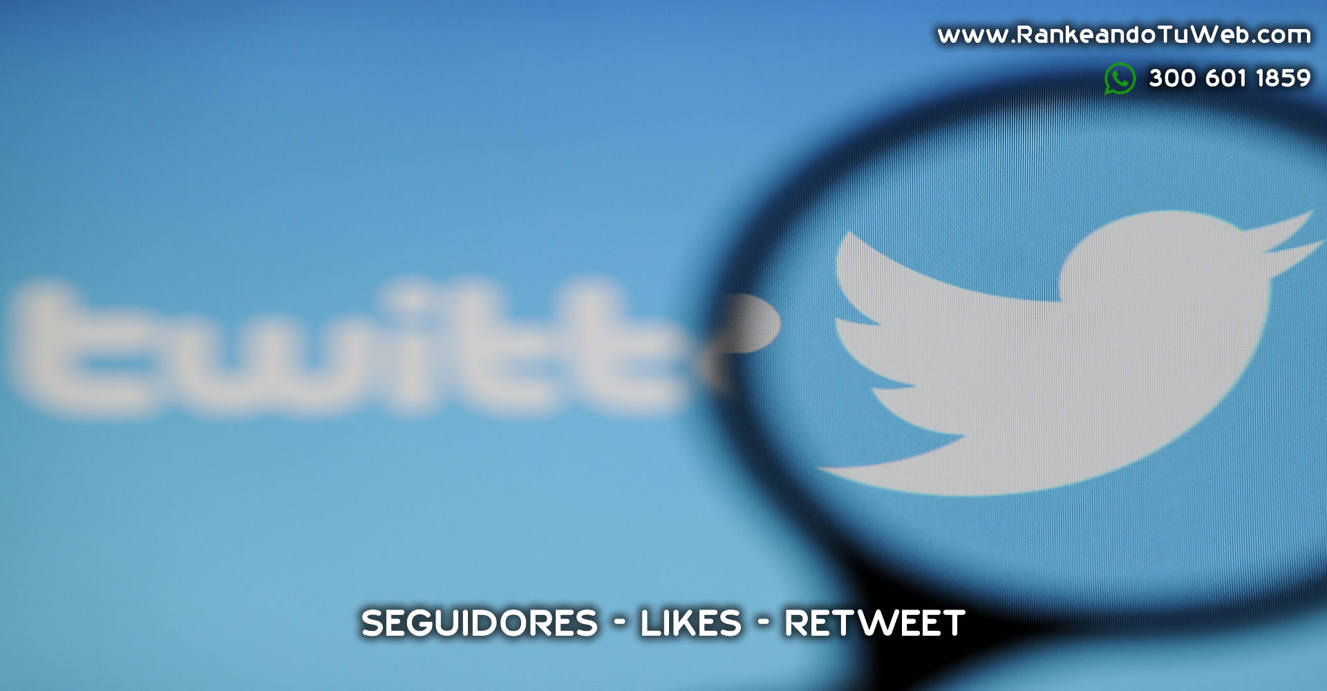 COMPRAR SEGUIDORES TWITTER  | REALES	