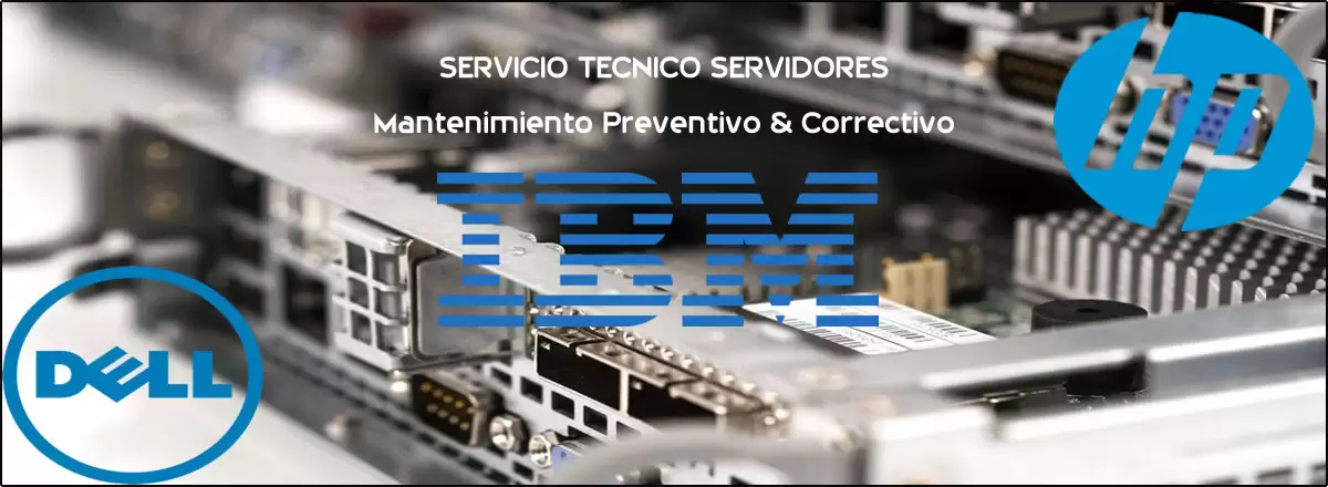 Servicio Tecnico Servidores